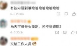 圈内爆料杨紫的内容,揭秘娱乐圈背后的故事